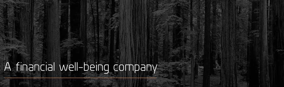 Website banner